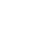 Vizyonumuz ikon